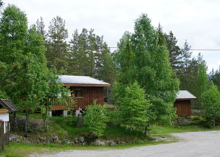 Visit Wilderness