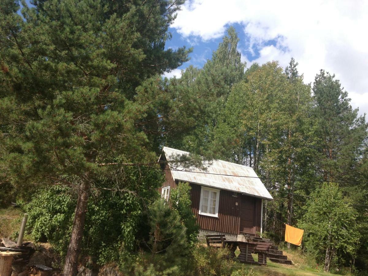 Visit Wilderness